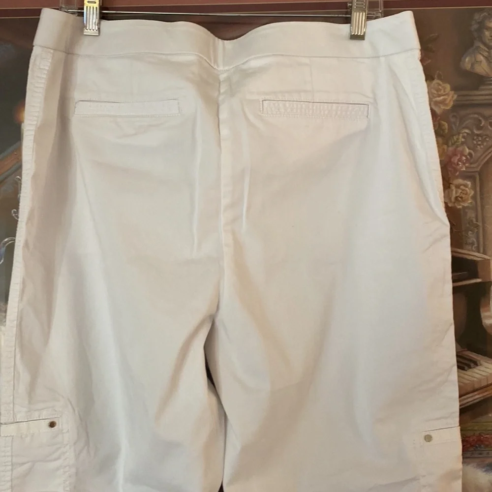 CHICO's pants